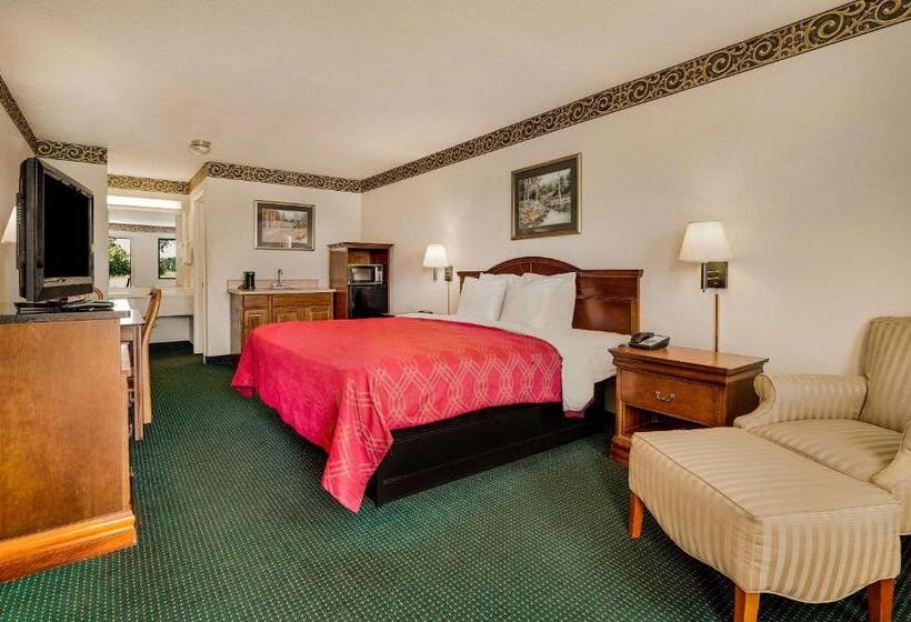 فندق Rodeway Inn