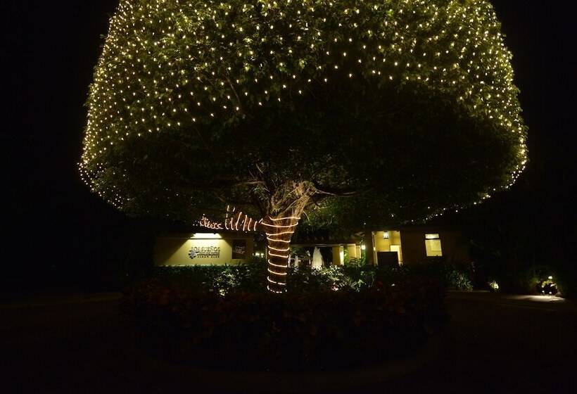 منتجع Hrg Condos At Los Sueños