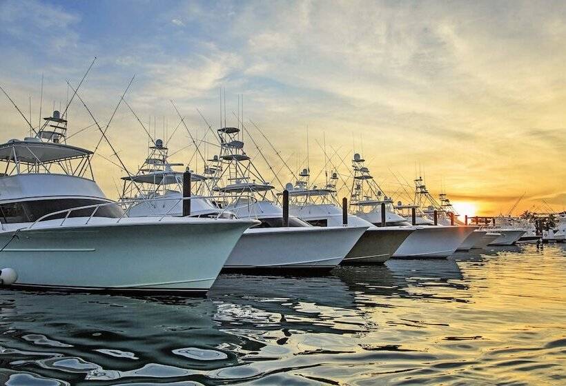 منتجع Hrg Condos At Los Sueños