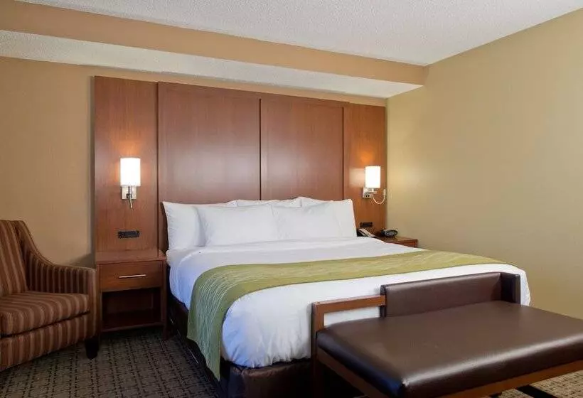 Отель Russell Inn & Suites