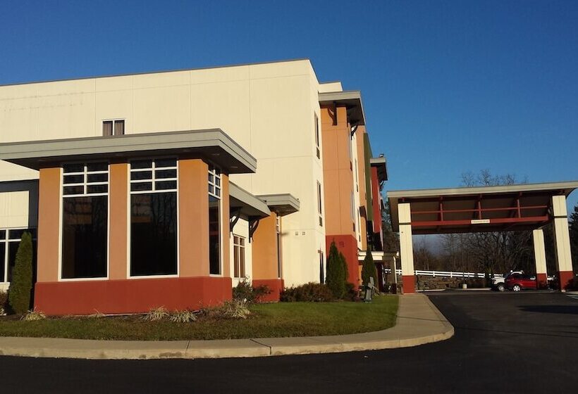 ホテル Paradise Inn & Suites