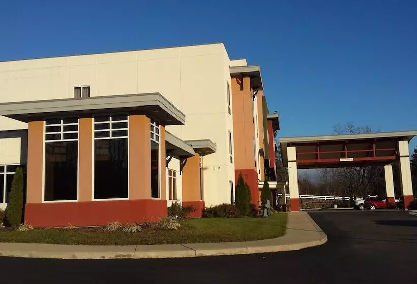 Отель Paradise Inn & Suites