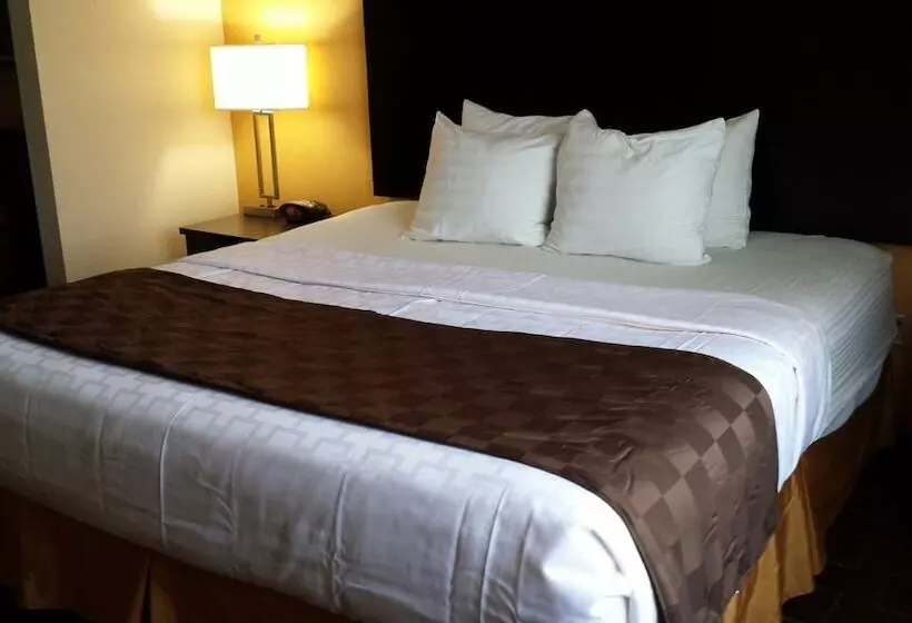 Отель Paradise Inn & Suites