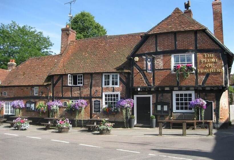 فندق The Plume Of Feathers