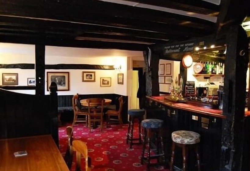 فندق The Plume Of Feathers