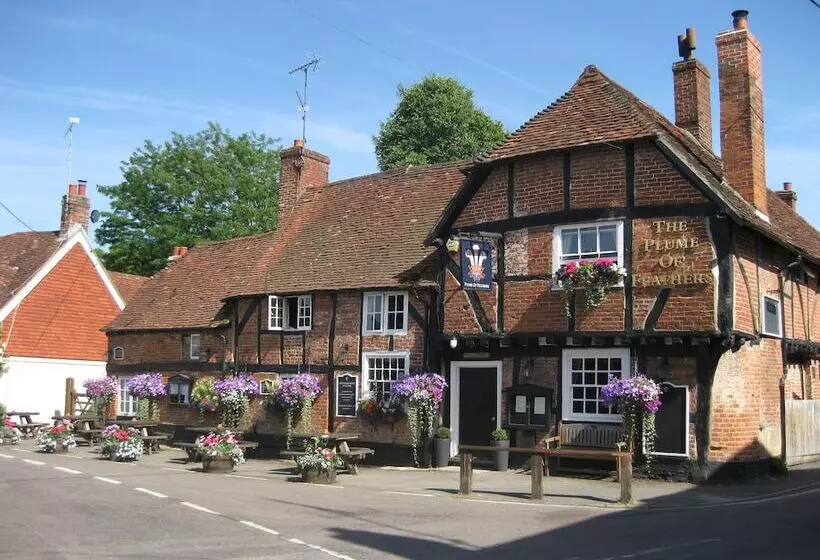 Hotel The Plume Of Feathers