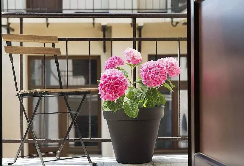 Antique Apartments Old Town