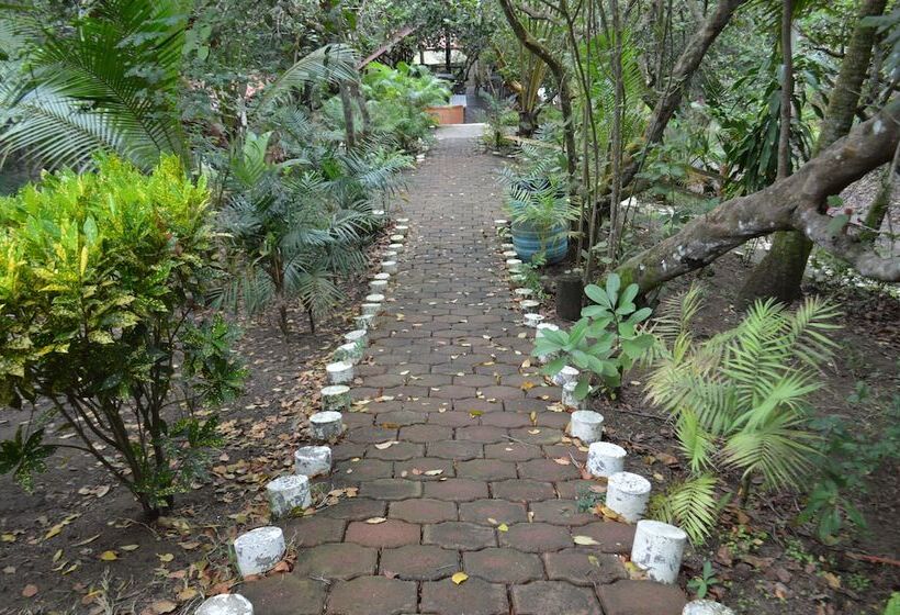 Cocoaventura Cabanas Y Club De Playa   Campsite