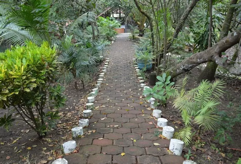 Cocoaventura Cabanas Y Club De Playa   Campsite