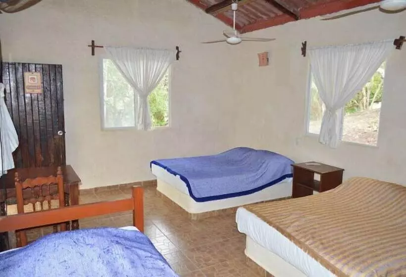 Cocoaventura Cabanas Y Club De Playa   Campsite