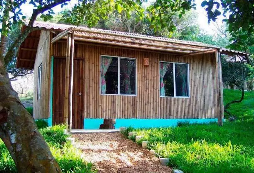 Cocoaventura Cabanas Y Club De Playa   Campsite