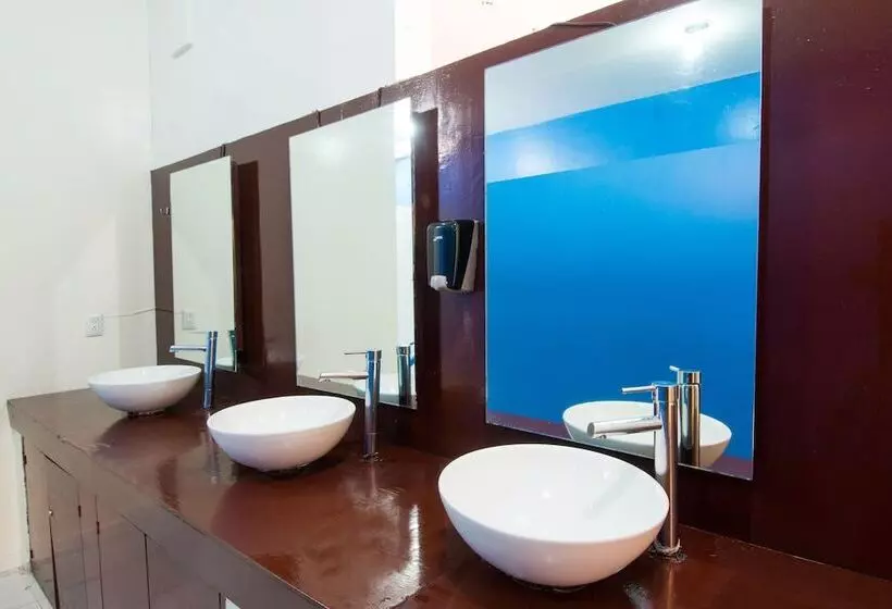 Общежитие Hostal Amigo