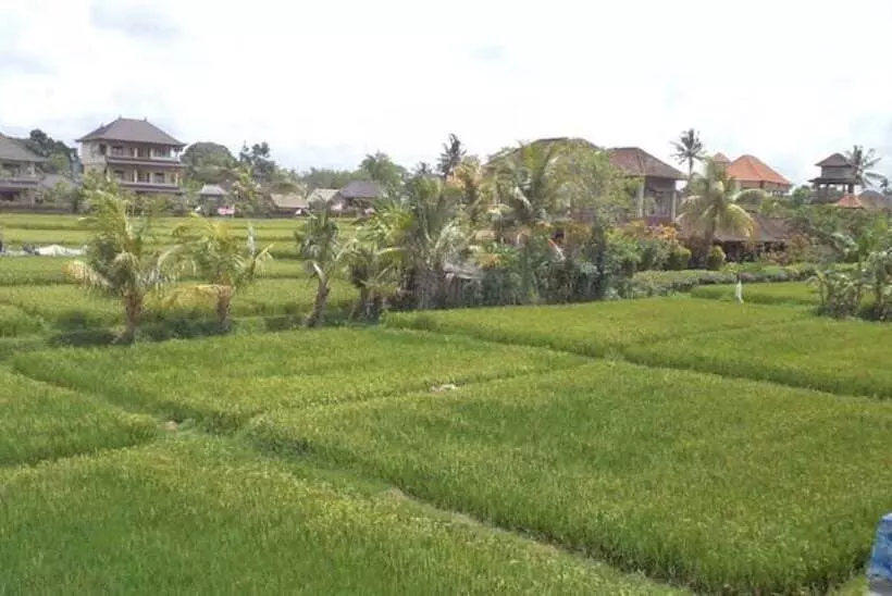 Hotell Ala S Green Lagoon