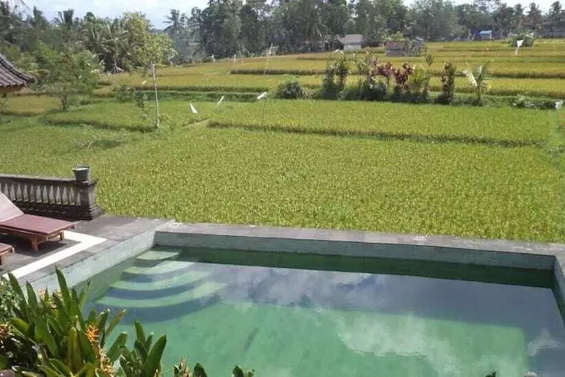 Hotell Ala S Green Lagoon