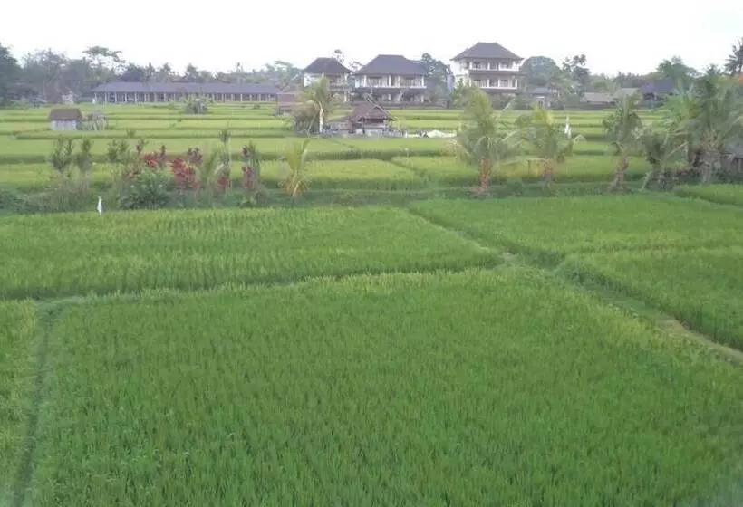 Hotell Ala S Green Lagoon