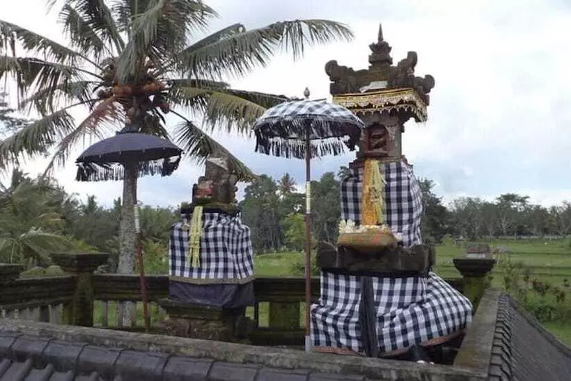 Hotell Ala S Green Lagoon