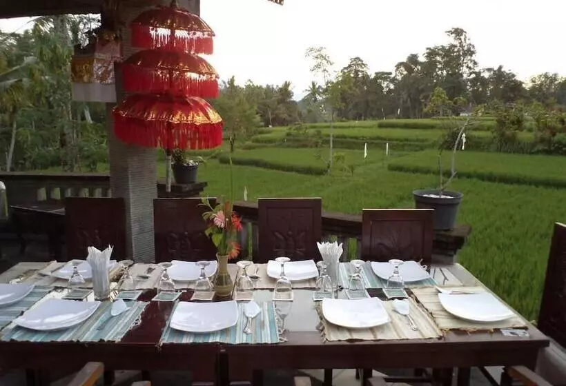 Hotell Ala S Green Lagoon