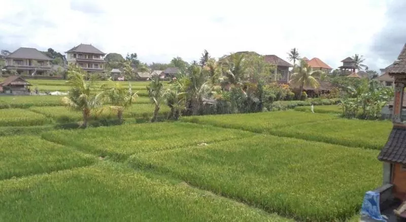 Hotell Ala S Green Lagoon