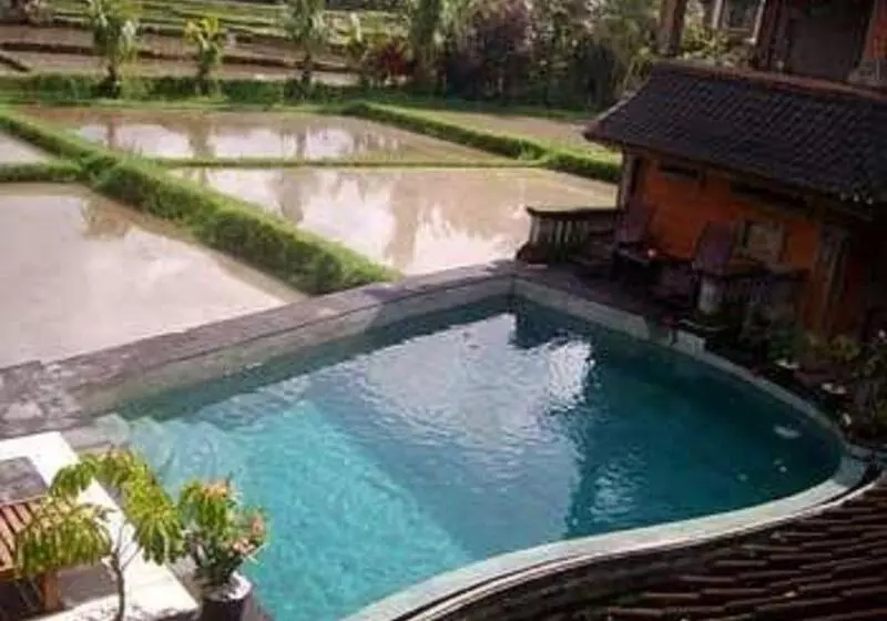 Hotell Ala S Green Lagoon