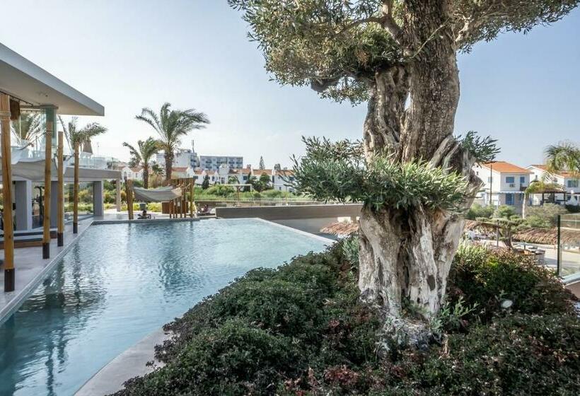 בית מלון כפרי Cavo Zoe Seaside