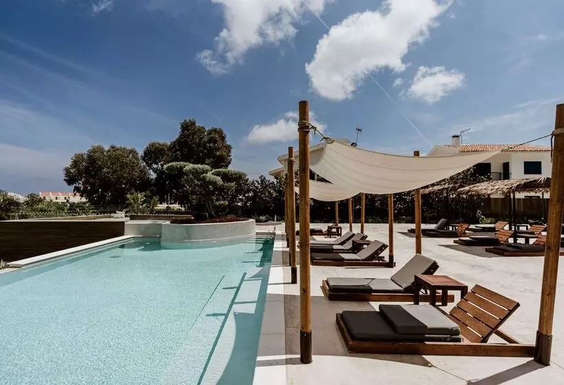 فندق Cavo Zoe Seaside