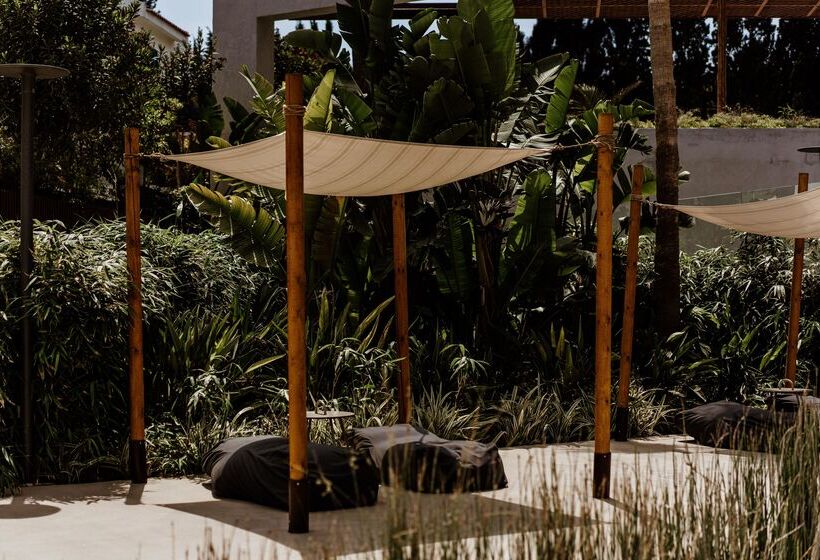 בית מלון כפרי Cavo Zoe Seaside