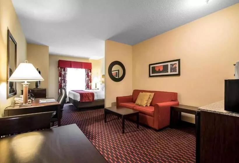 酒店 Comfort Inn & Suites