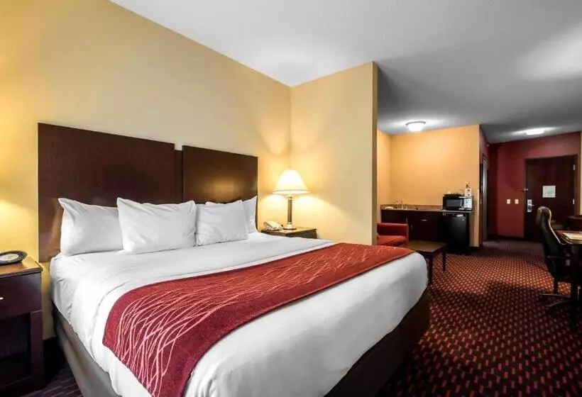 酒店 Comfort Inn & Suites