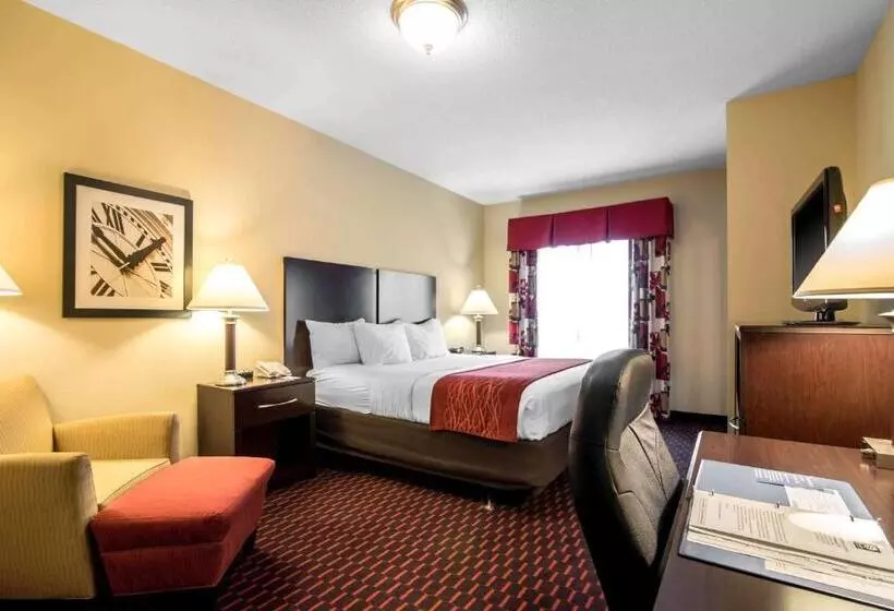 酒店 Comfort Inn & Suites