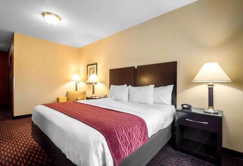 酒店 Comfort Inn & Suites