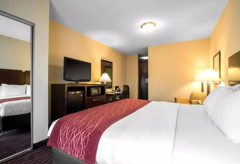 酒店 Comfort Inn & Suites