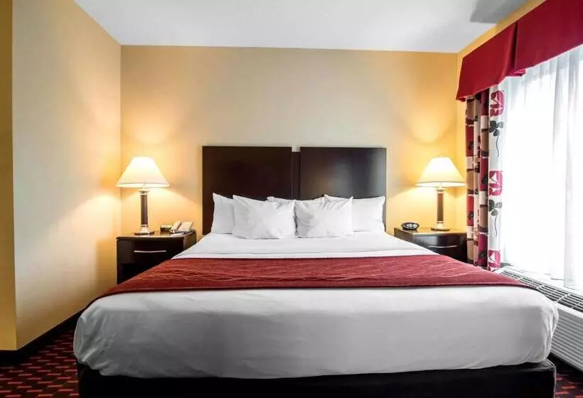 酒店 Comfort Inn & Suites