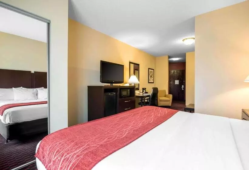 酒店 Comfort Inn & Suites