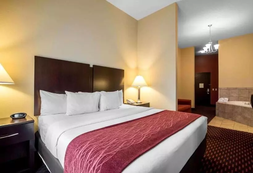 酒店 Comfort Inn & Suites