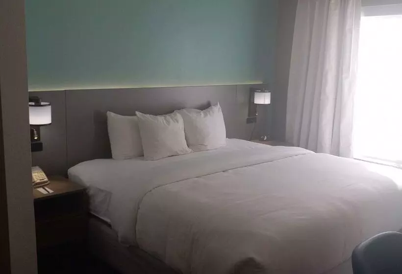 酒店 Comfort Inn & Suites