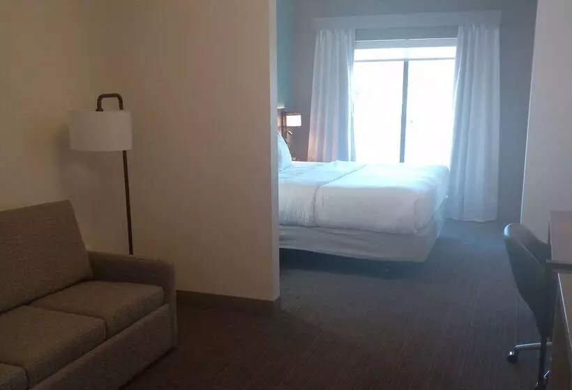 酒店 Comfort Inn & Suites