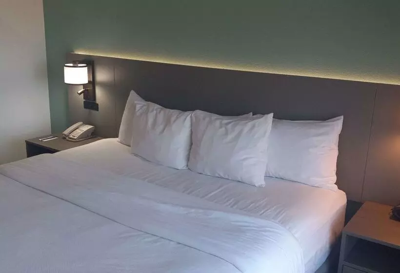 酒店 Comfort Inn & Suites