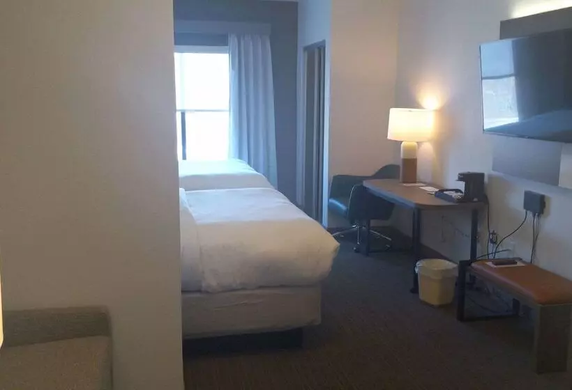 酒店 Comfort Inn & Suites