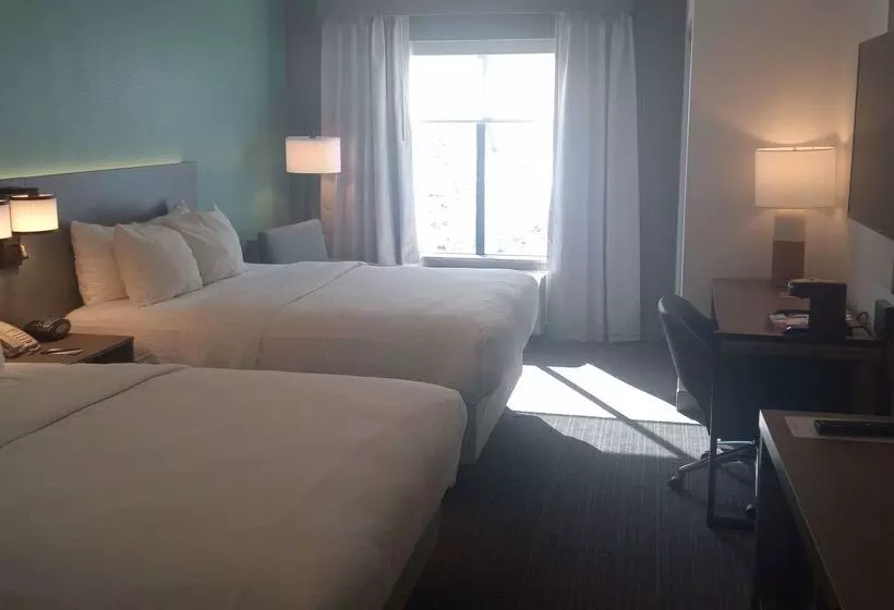 酒店 Comfort Inn & Suites