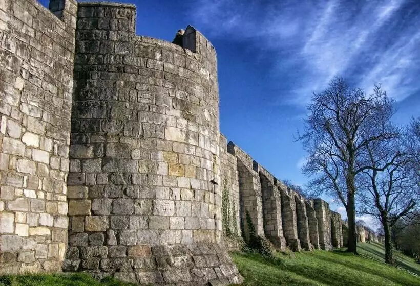 酒店 Diamonds Villa Near York Hospital