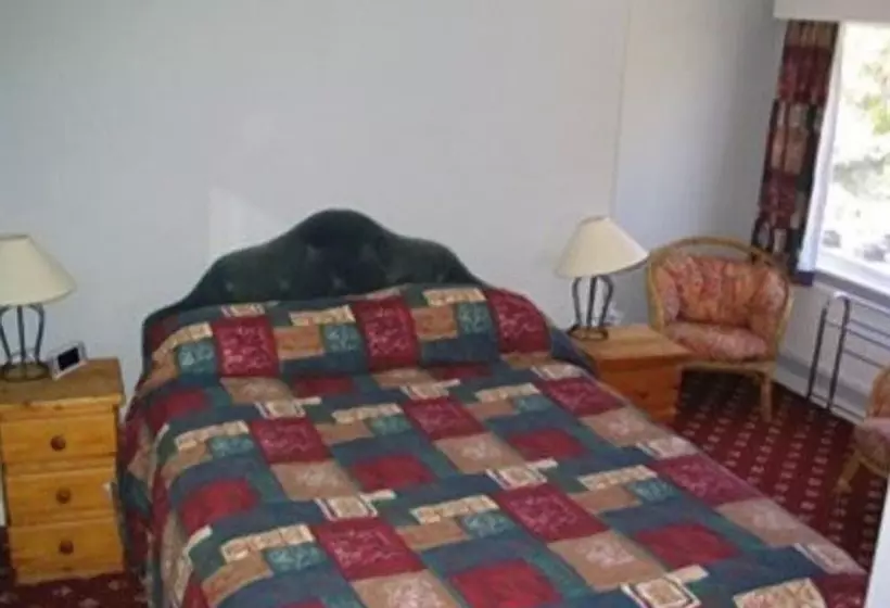 פנסיון The Sherborne Lodge