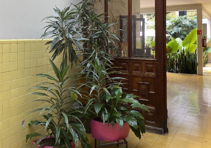 فندق صغير Allende Morelia