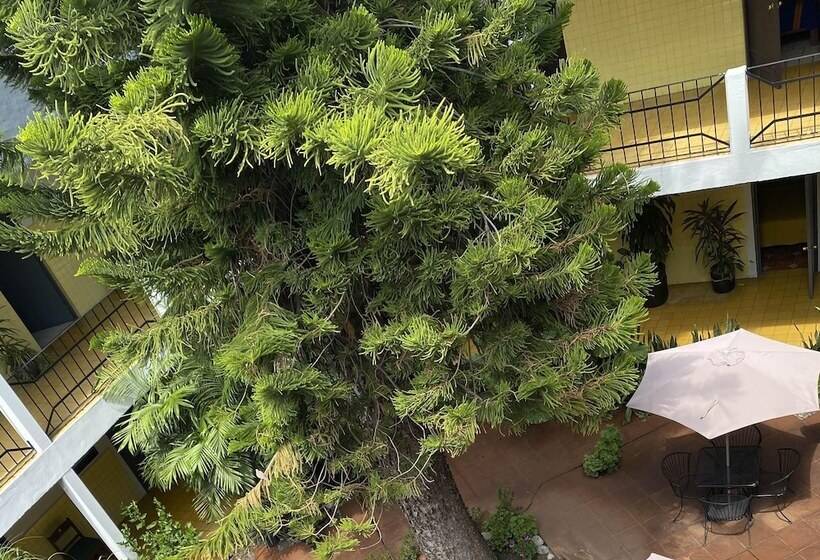 فندق صغير Allende Morelia