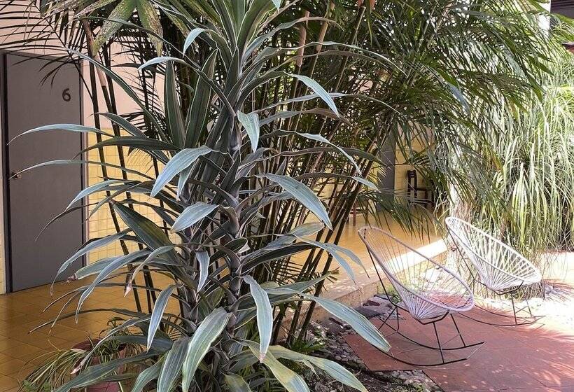 فندق صغير Allende Morelia