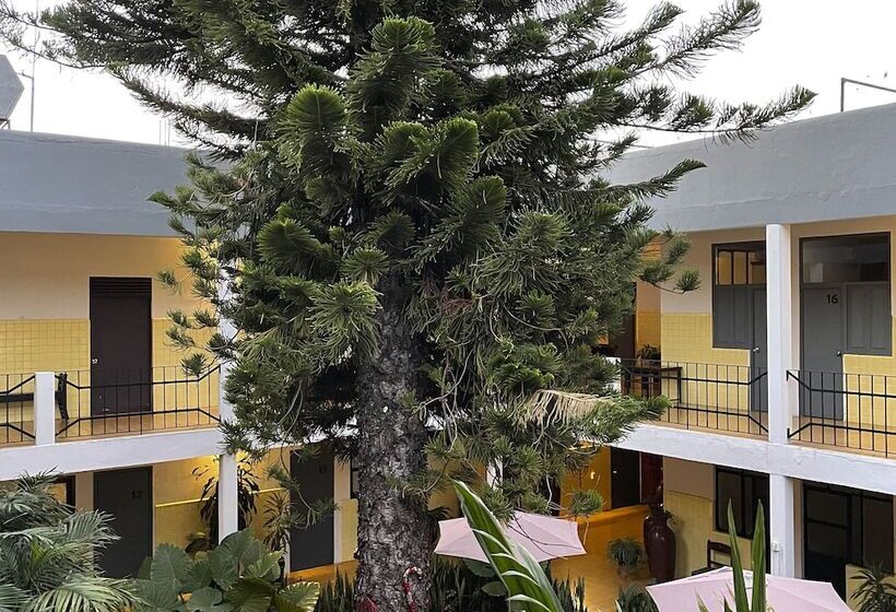 فندق صغير Allende Morelia