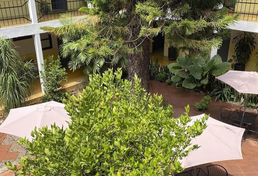 فندق صغير Allende Morelia