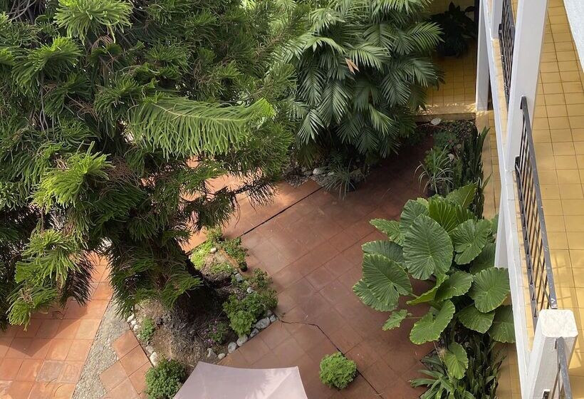 فندق صغير Allende Morelia