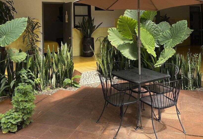 فندق صغير Allende Morelia