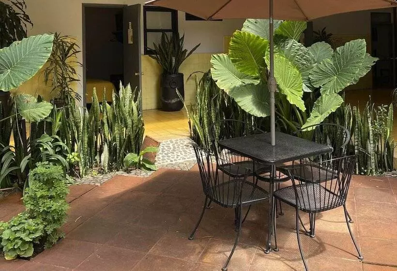 فندق صغير Allende Morelia