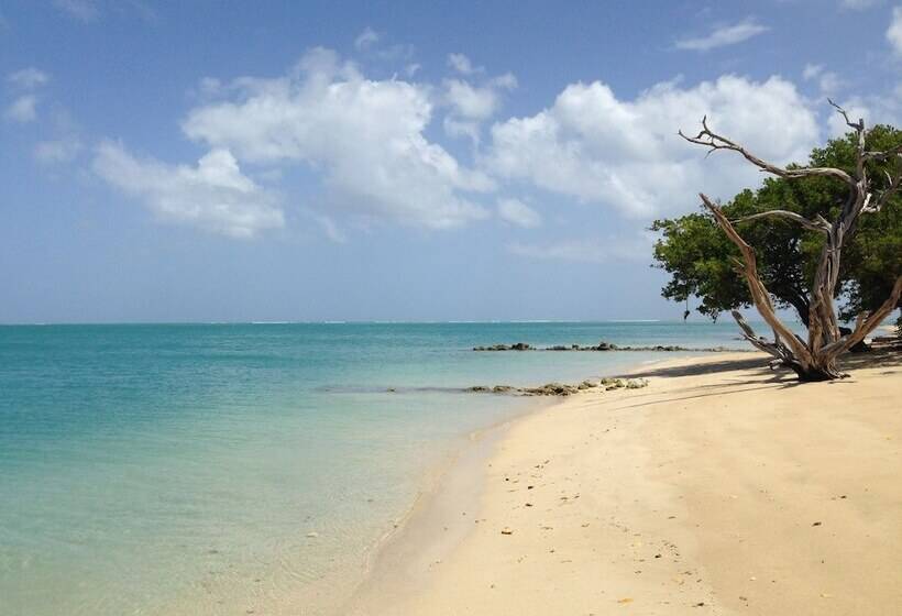 Fish Tobago Guesthouse